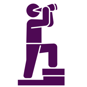 Vision icon